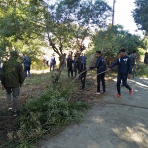 Extension Activities by NCC & NSS